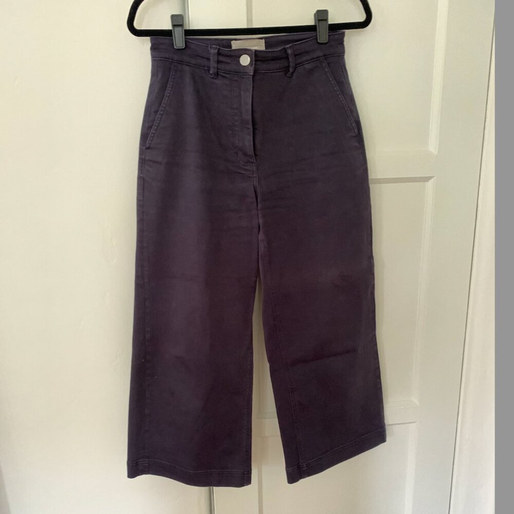 Navy Everlane "The Wide Leg Crop Pant"